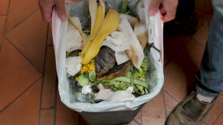 Best Carpet Removal and Disposal  in Forestville, OH
