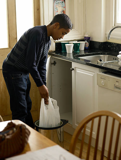 Best Furniture Removal  in Forestville, OH